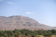 DSC00153a